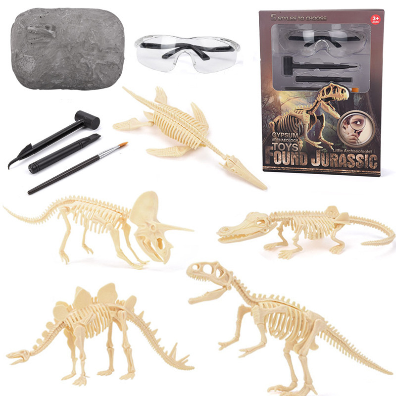 Science Toy - Dinosaur Fossil Excavation Kit STEM Excavates