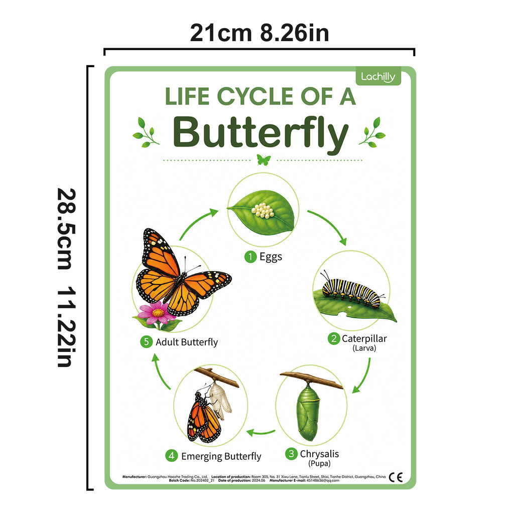 8Pcs Nature Life Cycle Educati - Science Nature recension och pris