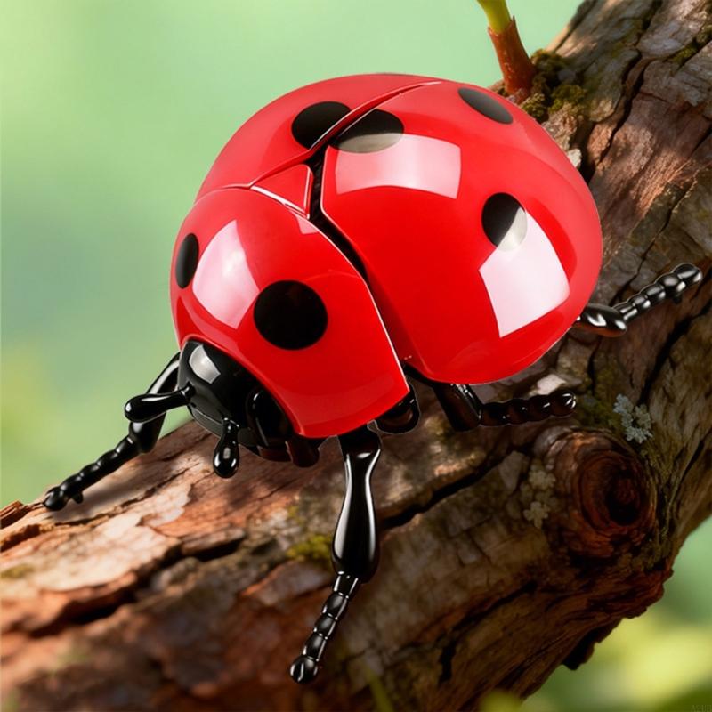 7pcs Wind Up Insect Figurine T - Science Nature recension och pris